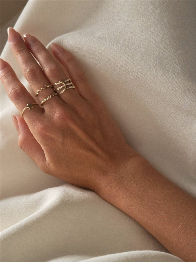 Anillos